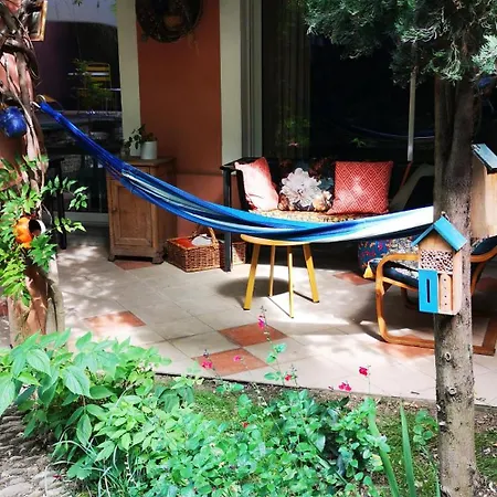 Guest house Condamine